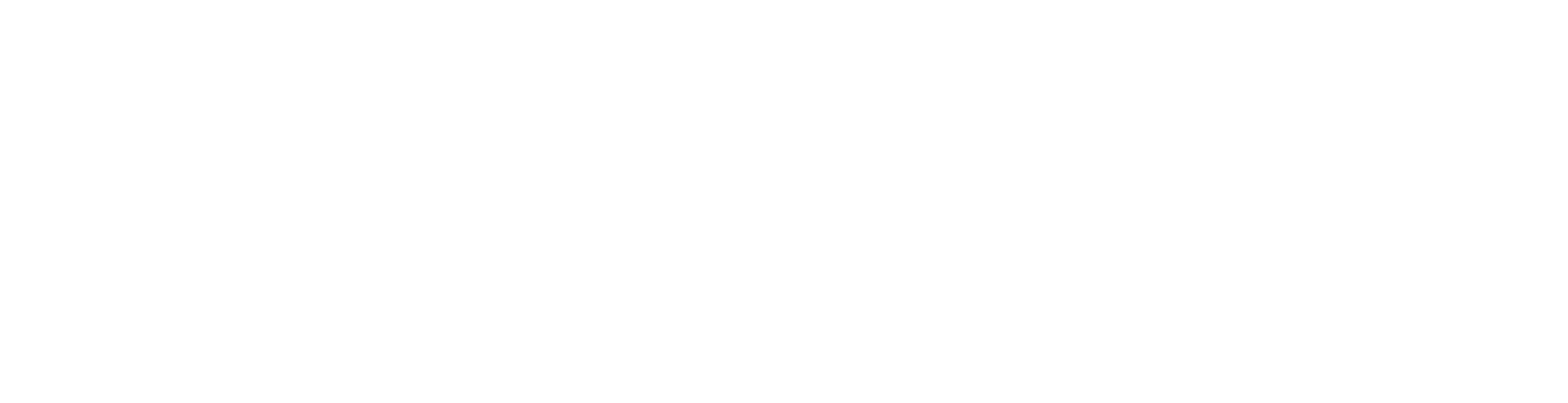 Trueswift Logo